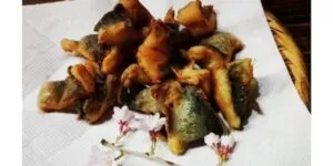 apollo fish in telugu