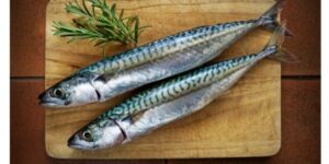 mackerel fish in telugu