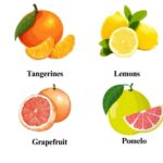  The Health Benefits of Citrus Fruits You Need to Know