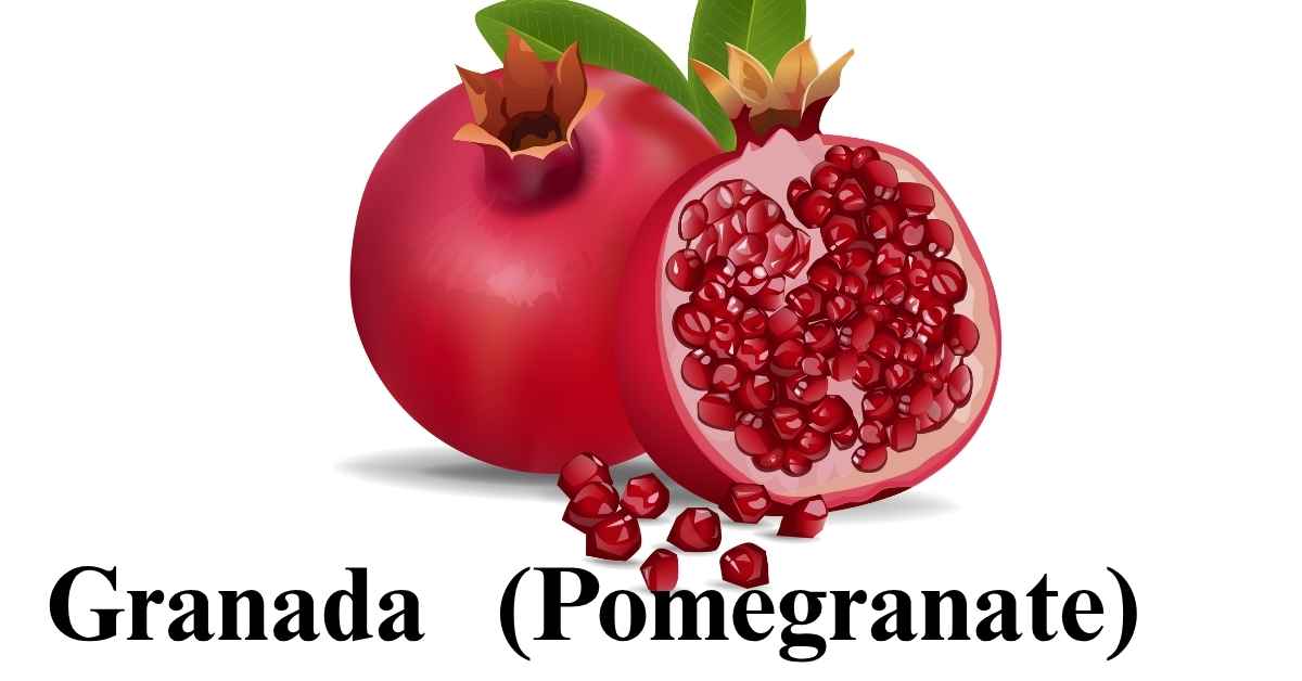 granada fruit