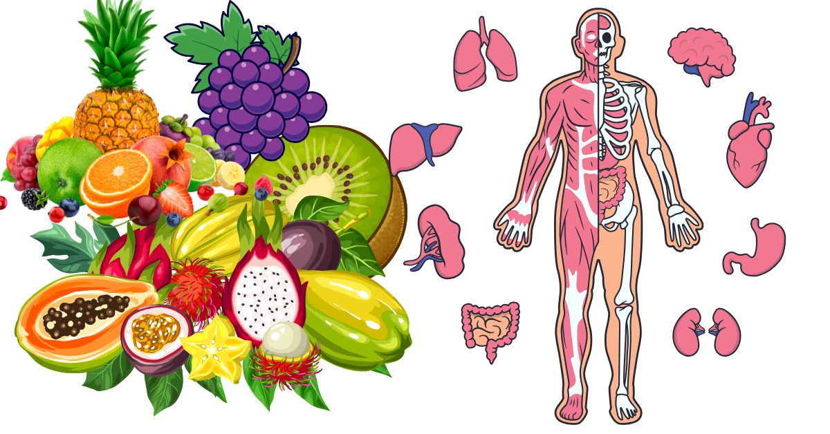 What Happens to Your Body When You Eat Fruit Every Day | Health Benefits of Fruits
