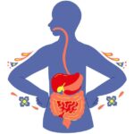 Improving and Understanding Gut Health and Digestion