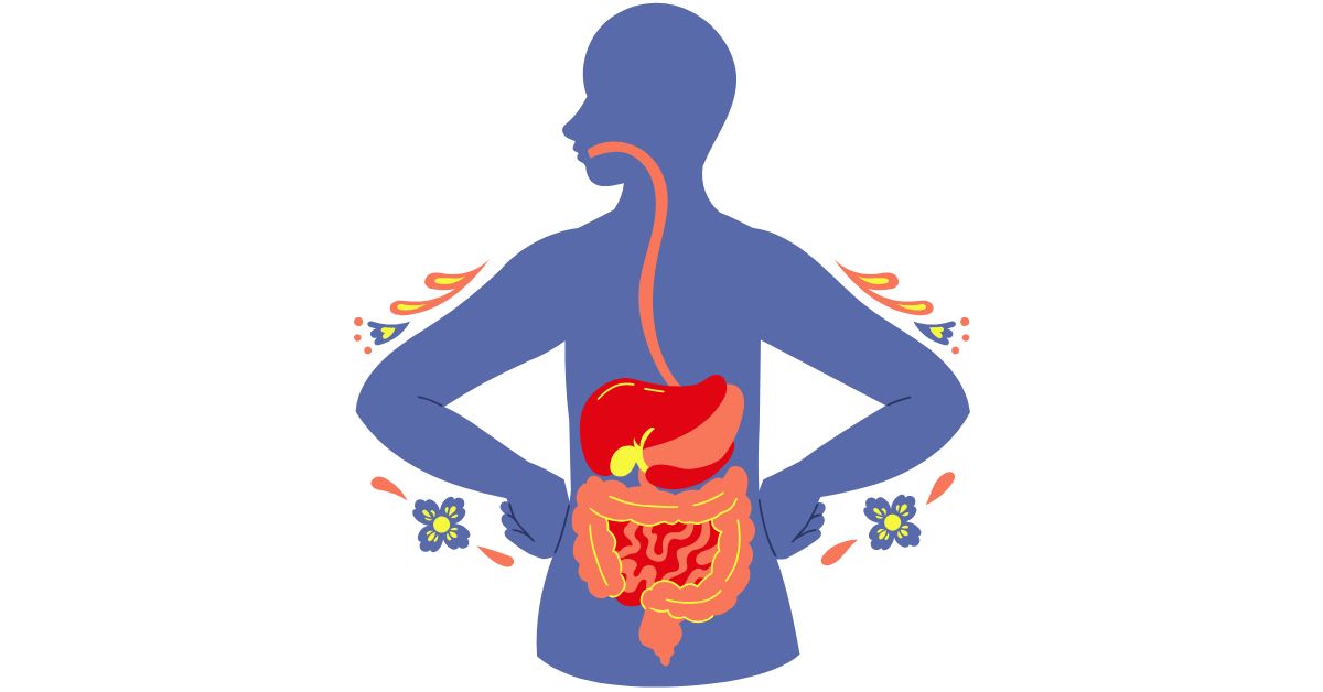 Improving and Understanding Gut Health and Digestion