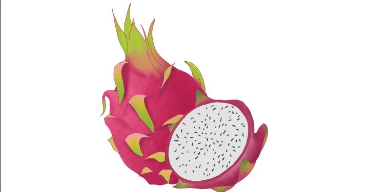 Pitaya vs Dragon Fruit: What’s the Difference and Which is Better?